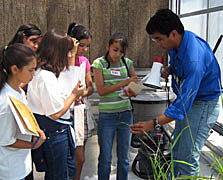 students working on research project